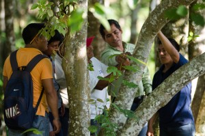 Yoni Sima (center right, in green shirt) explains the fine art of measuring trees. Photo credit: Carlos Herrera