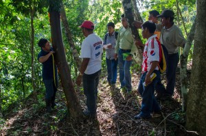 Forest engineer, Yoni Sima, wrapping a tape measure around a tree, works with students.  Photo credit: Carlos Herrera