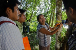 Young forest engineer, Sara Camacho, explains forest carbon measurements to students. Photo credit: Carlos Herrera