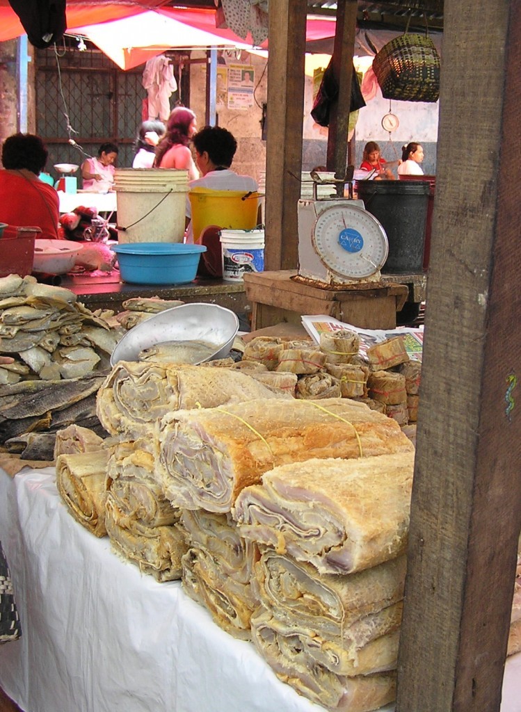 Dried paiche, photograph by Pierre Pouliquin