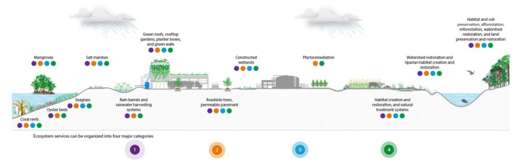 Ecosystem Services need to be concrete if those outside the scientific community are to embrace them.