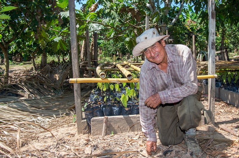 10 Years of REDD+ in Acre and its Impacts on Indigenous Women and Female  Extrativistas