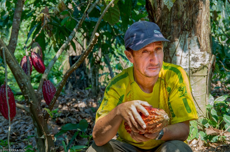 10 Years of REDD+ in Acre and its Impacts on Indigenous Women and Female  Extrativistas