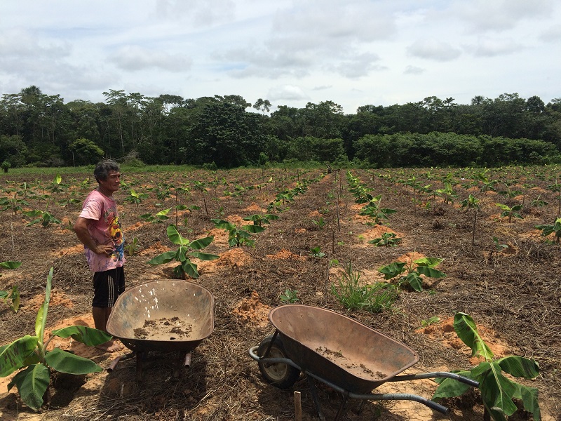 10 Years of REDD+ in Acre and its Impacts on Indigenous Women and Female  Extrativistas