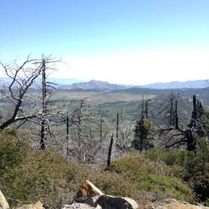 The view from Cuyamaca Peak.