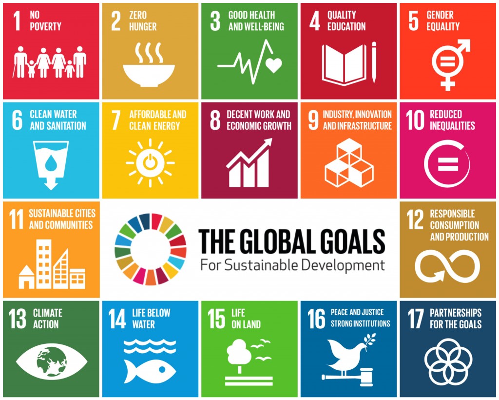 More than 15 world leaders signed off on the 17 Sustainable Development Goals last year, and proponents hope they'll become the guiding benchmarks for businesses around the world.