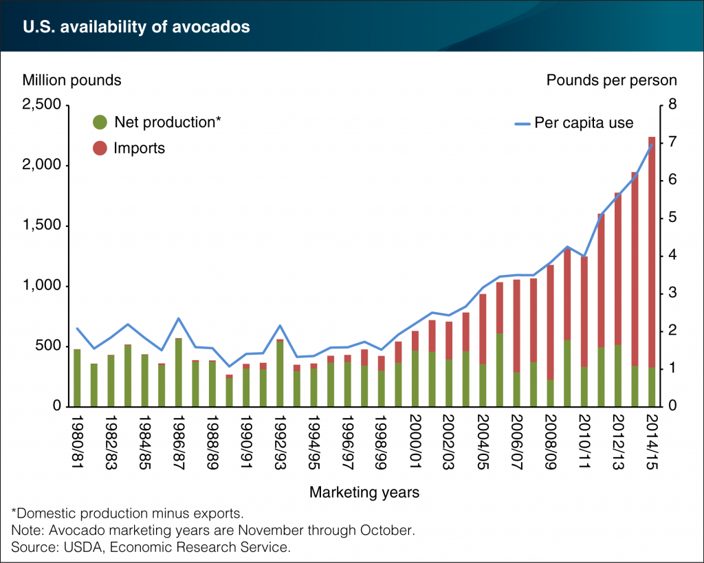 The Cost of Avocado Production