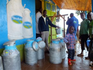 Children bring milk from their parents' farms to the Kaptama Farmers' Cooperative