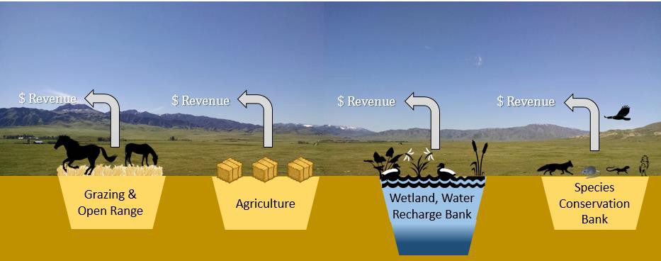 Farm and ranch land revenues can diversify and grow once markets for ecological assets like wetlands, aquifer recharge and species credits are considered.