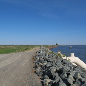 Twitchell Island, on the levee where pumps drain water from the island back into the delta, by Kelley Hamrick