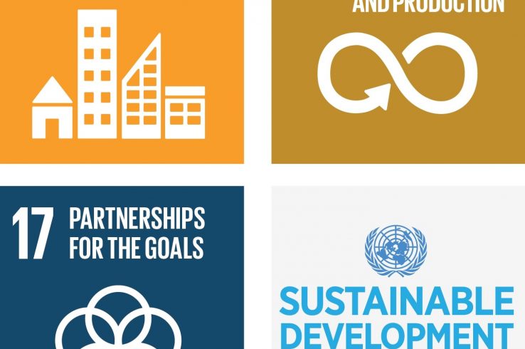 Applying Carbon Standards To Sustainable Development Goals