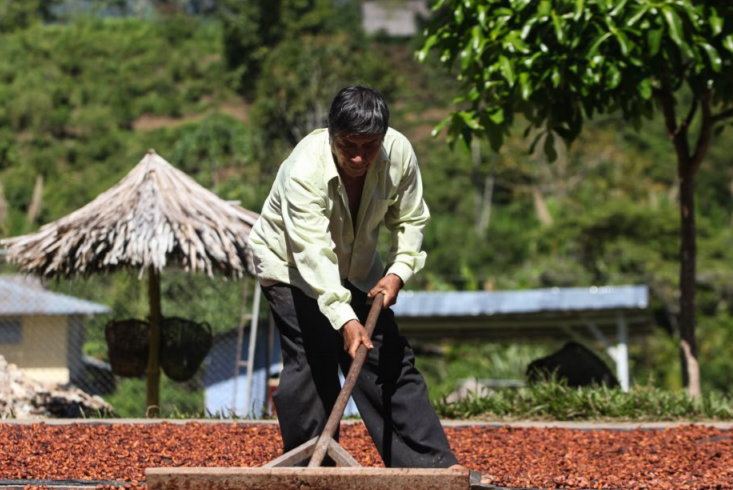 To Save Peru’s Forests, Support Its Small Farmers