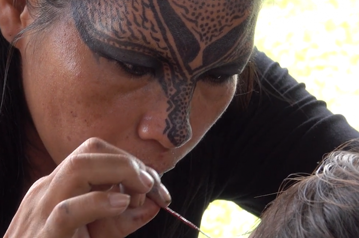 “Stewards Of The Forest”: New Film Shines Light On Indigenous Life Plans