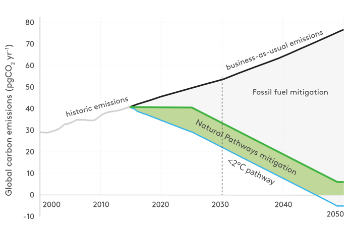 Natural Climate Solutions