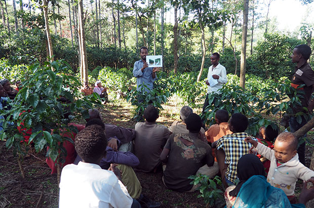 A training session in Oromia. Photo Credit: Technoserv