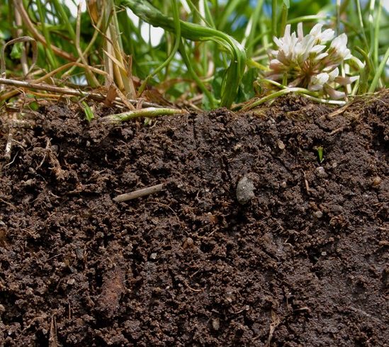 The Economics Of Activating Dirt To Absorb Greenhouse Gasses And Restore Soil