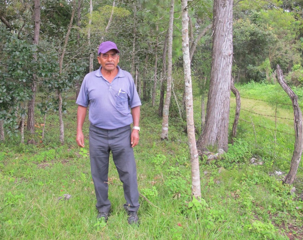 Don Fernando Lopez, standing at the front of his forest.
