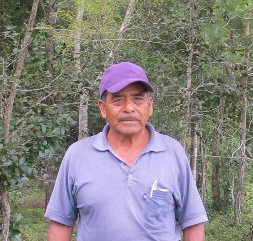 In Chiapas, Farmers Plant Trees To Boost Yields