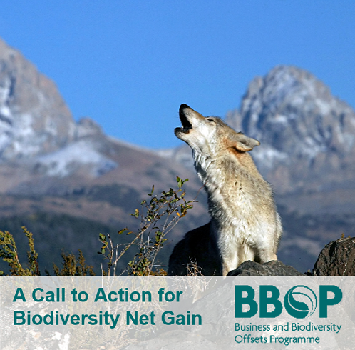 More Than 200 Governments, Businesses, And NGOs Support Biodiversity “Net Gain”