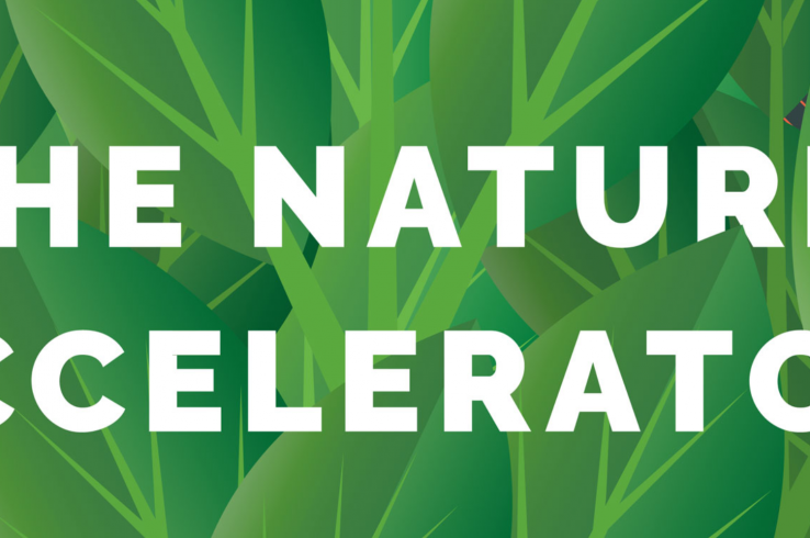 World’s First Nature-Based Accelerator Graduates Initial Cohort Of Start-Ups