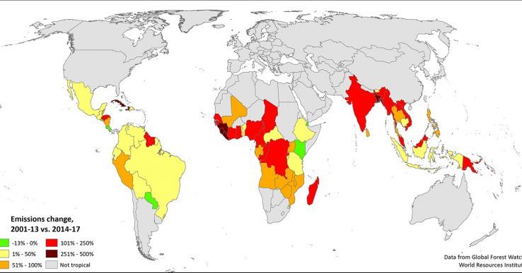 Natural Forests Still In Decline Despite Global Coordination Behind New York Declaration On Forests