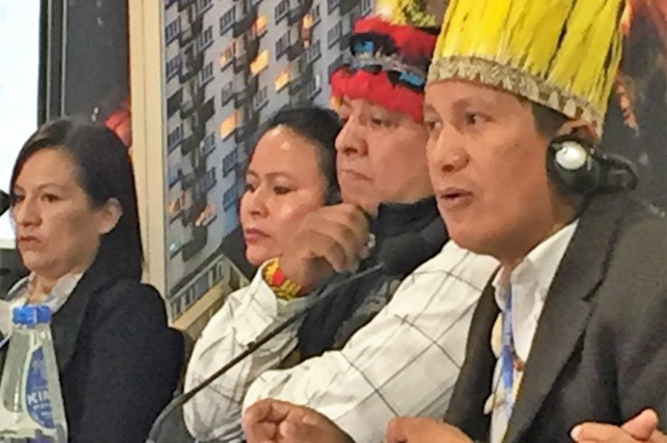 In Katowice, Indigenous Leaders Call For Wider Uptake Of REDD+