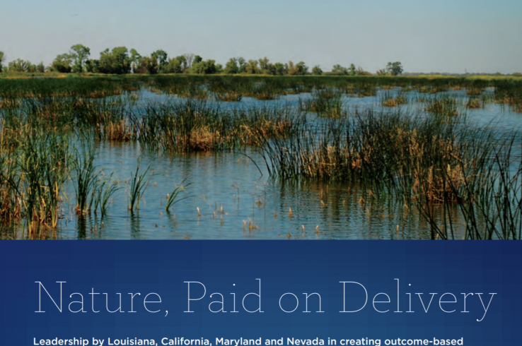 Nature, Paid on Delivery: Is Pay for Success the Future of Ecological Restoration?