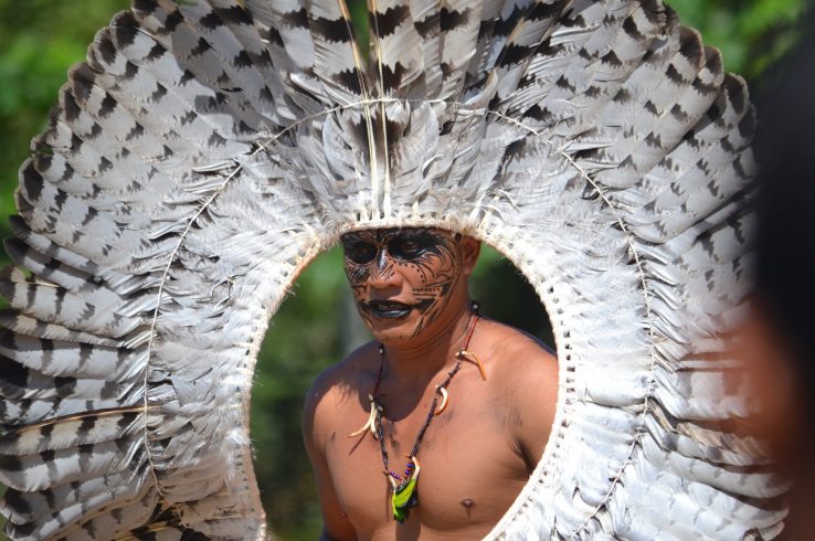 <em>Opinion:</em></br>We Save the Amazon in Part by Investing in the Indigenous Frontline