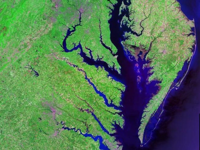 In Chesapeake Bay, Simple Targets Lead to Compound Results