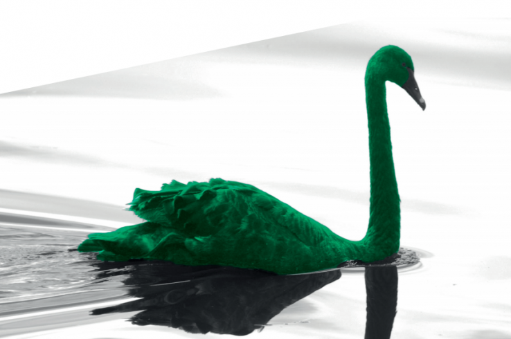 Coronavirus Is Bad, But The Green Swan Is Worse