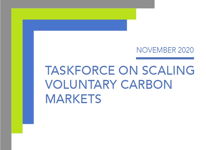 Voluntary Carbon Task Force Publishes First Round of Recommendations