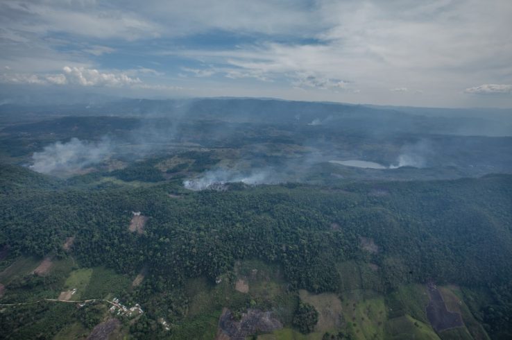 What We Got Right on Deforestation in the Past Decade