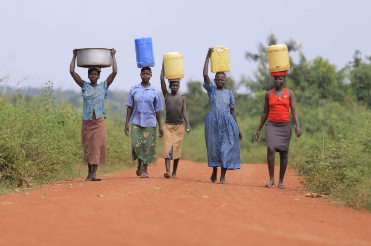 <em>What’s in a carbon credit?</br></em> New tools help quantify the sustainable development benefits of carbon offset projects