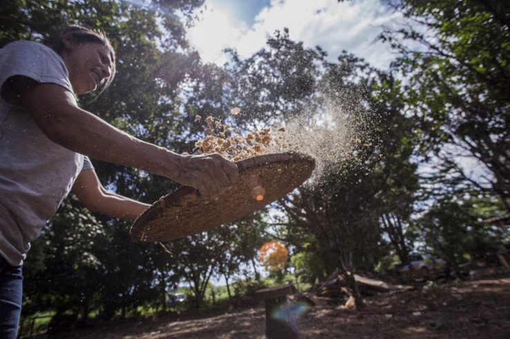 <em>Opinion:</em> Time for action that protects biodiversity, the climate and indigenous rights