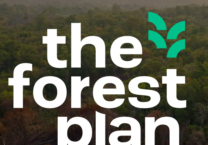 Ambitious New Plan to Scale Up REDD+ Announced