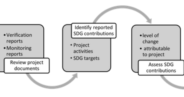 <em>Shades of REDD+</br></em>Beyond carbon – evaluating the sustainable development co-benefits of carbon projects