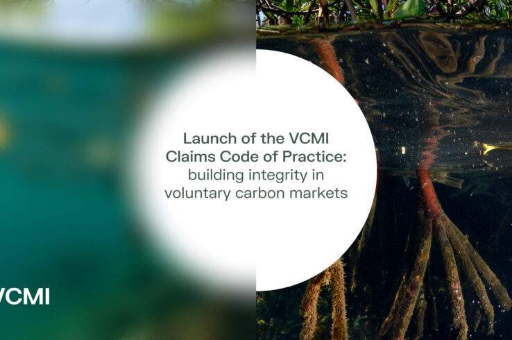 New Corporate Guidance on Carbon Credit Claims for Net Zero Launched by VCMI</br><i>Press Release</i>