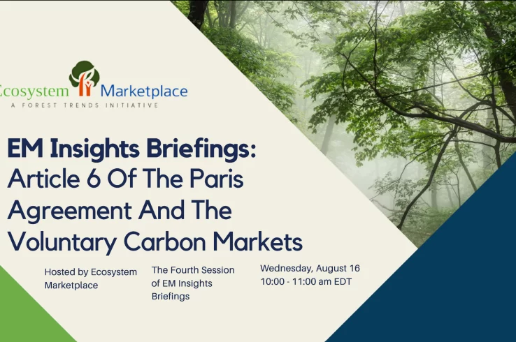 EM Insights Webinar (Recording): Article 6 of the Paris Agreement and the Voluntary Carbon Markets